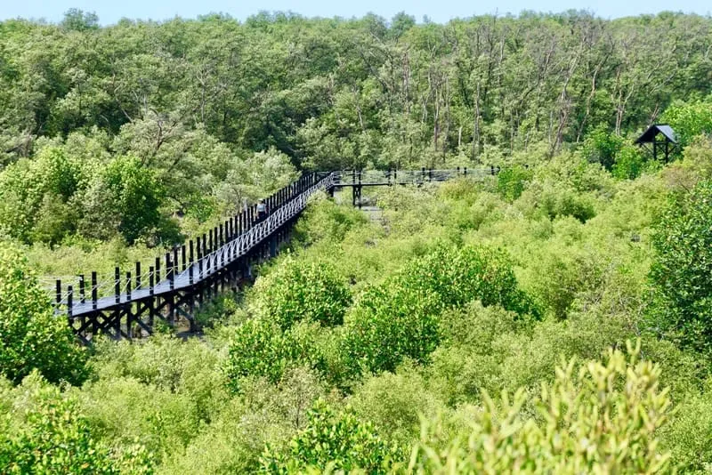 The Nature Education Center For Mangrove Conservat