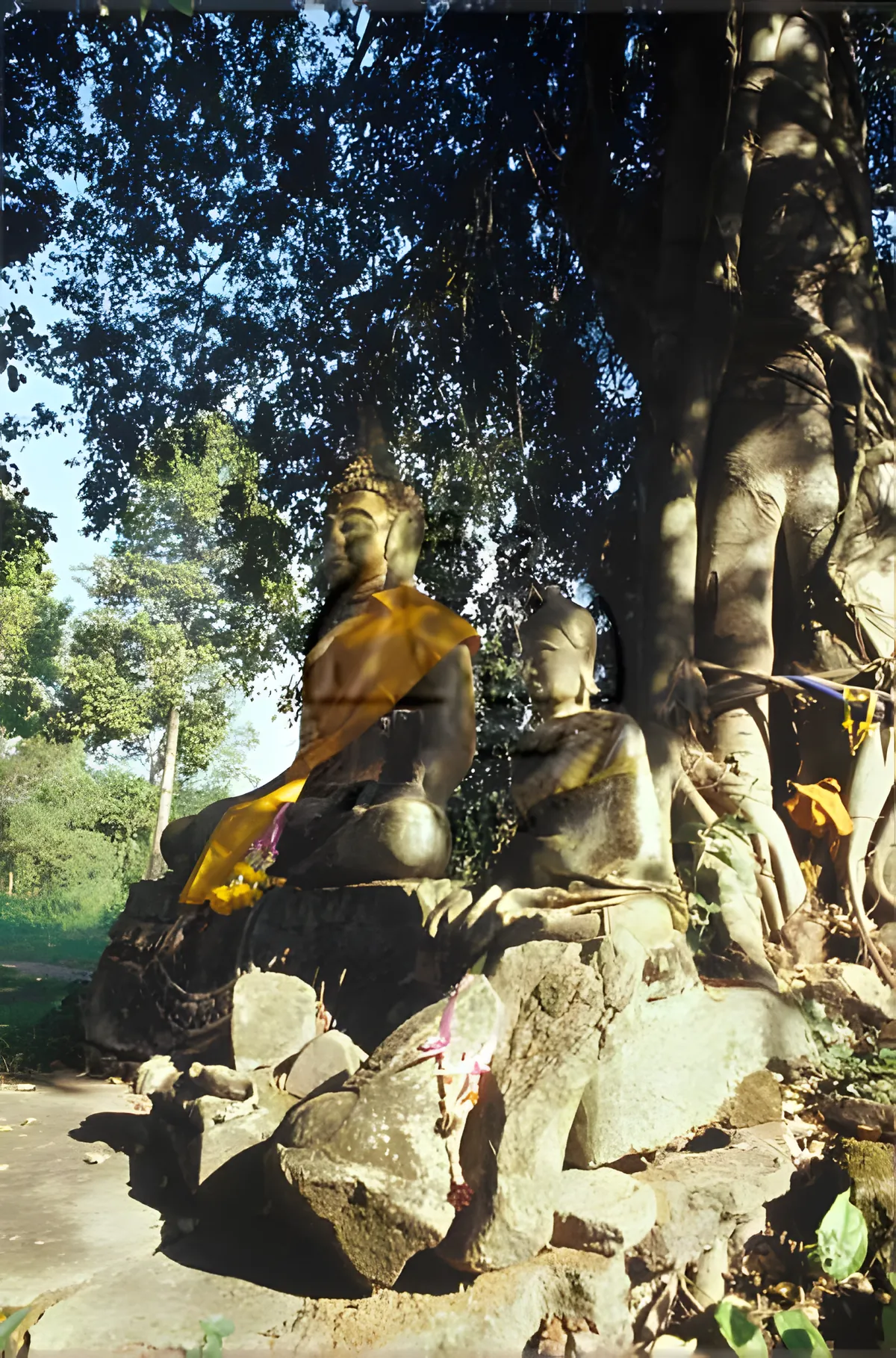 The Old City Park