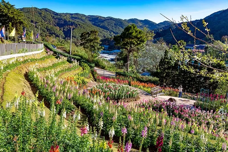 The Royal Agricultural Station Inthanon