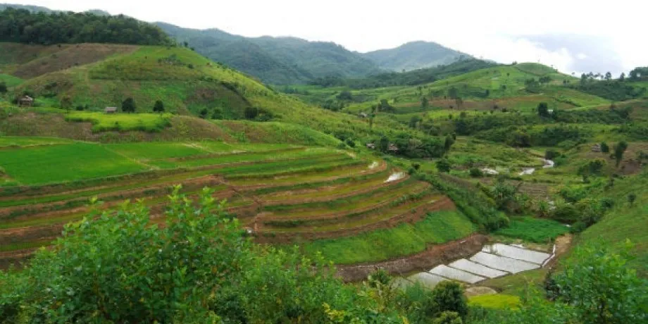 The Royal Project Phu Phayak, Nan province — photo 2