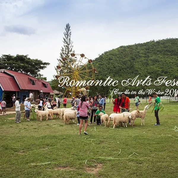 The Scenery Vintage Farm — photo 2