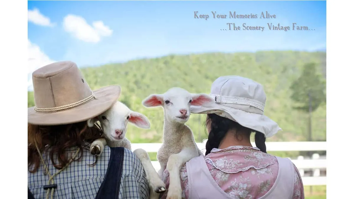 The scenery vintage farm