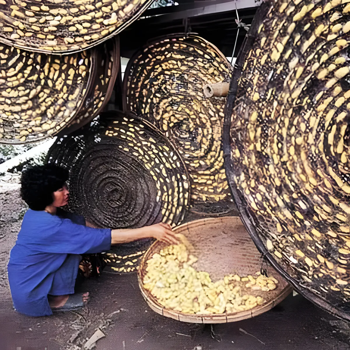 Ban Lung Pradu Samakki Silk Village