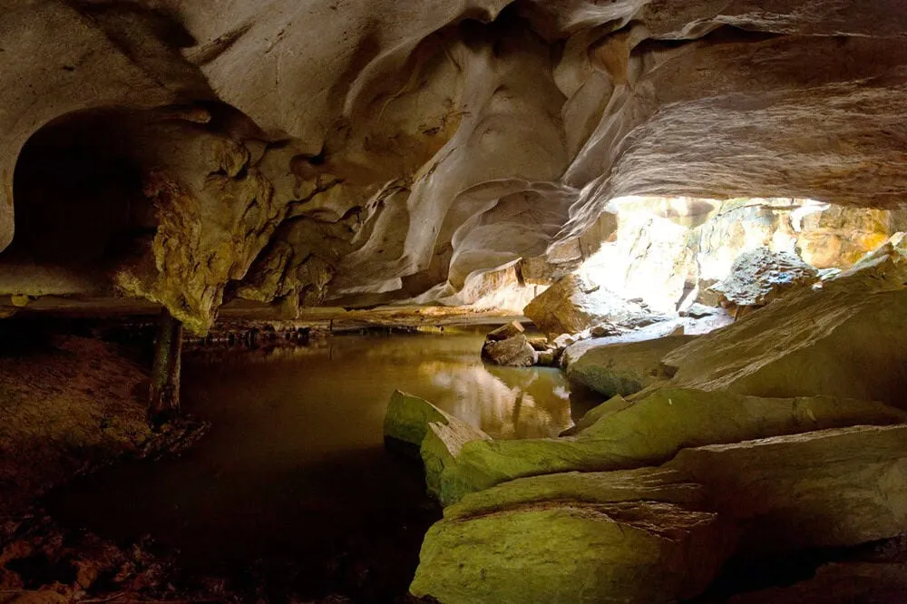 TheTamPa-Thapol Wildlife Conservation