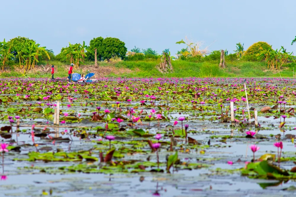 Thung Bua Daeng Na Bang Len Floating Market — photo 2