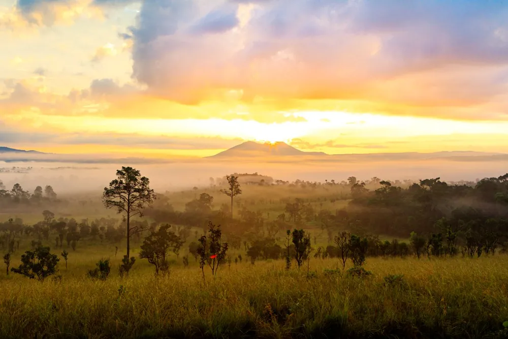 Thung Salaeng Luang National Park — photo 2