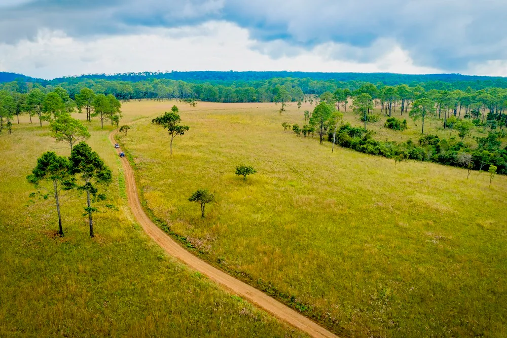 Thung Salaeng Luang National Park — photo 3