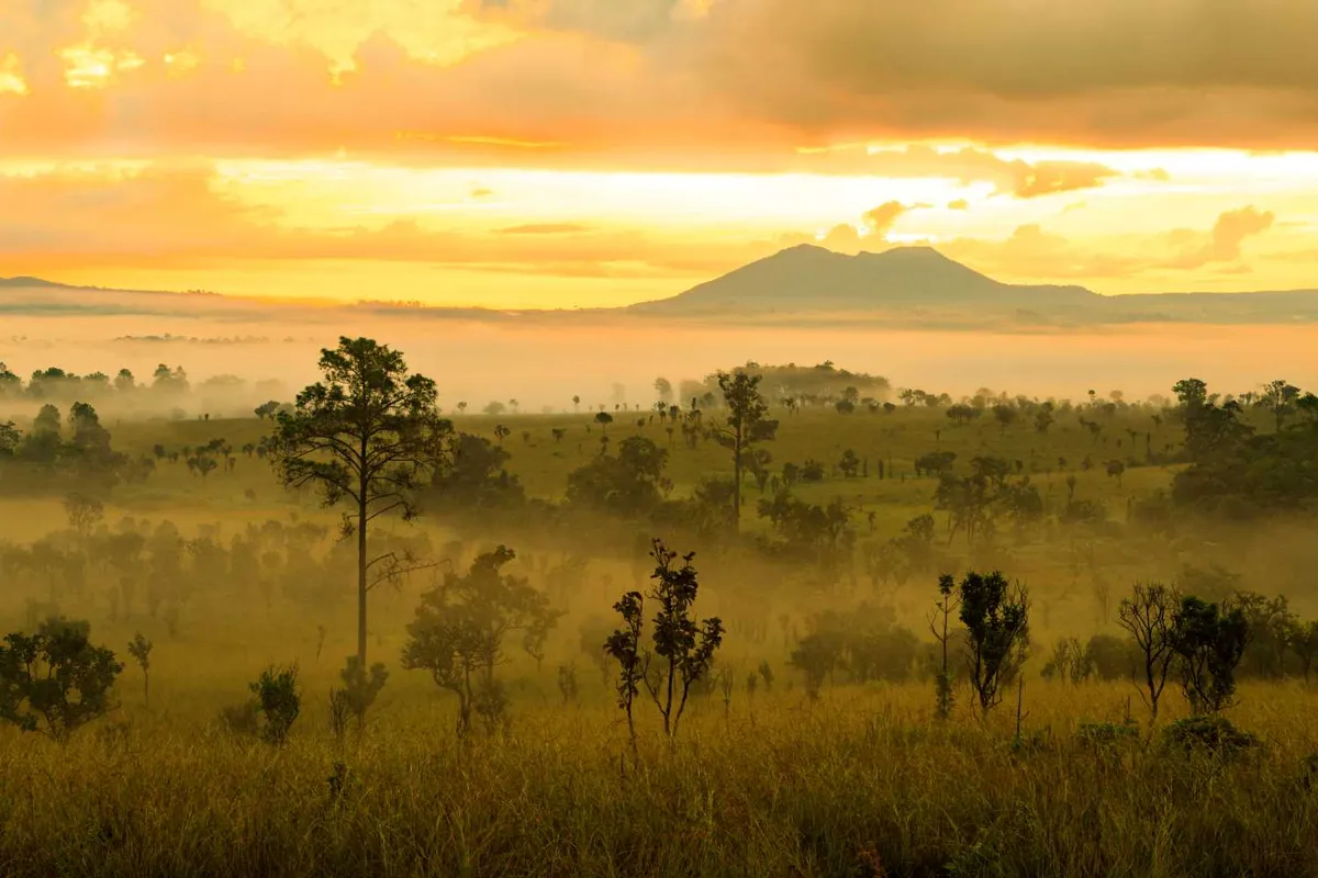 Thung Salaeng Luang National Park (Nong Mae Na)