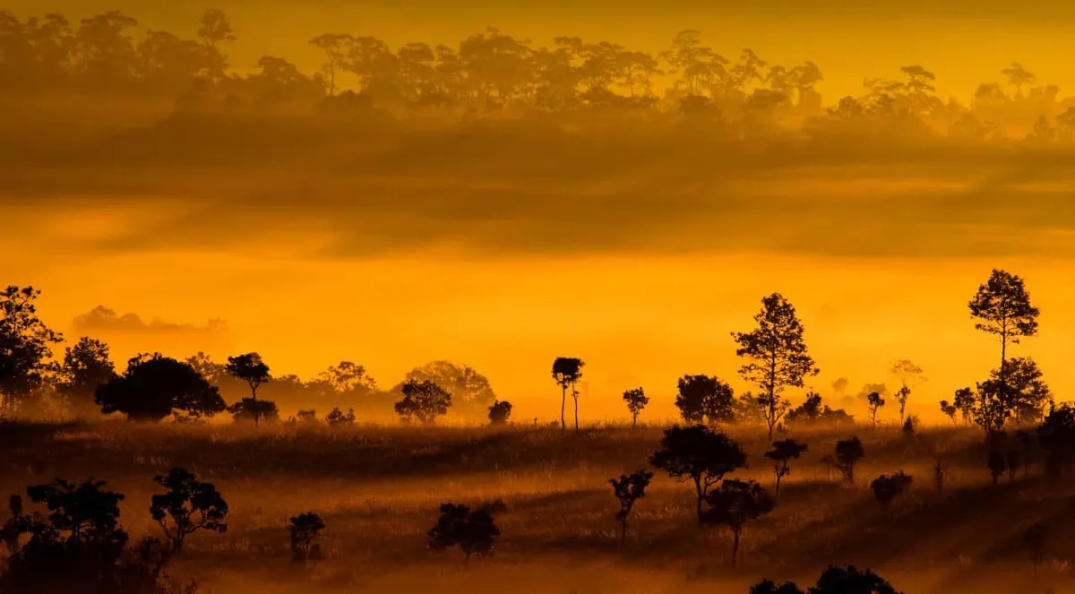 Thung Salaeng Luang National Park