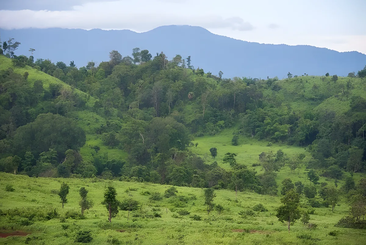 Thung Yai Naresuan Wildlife Sanctuary