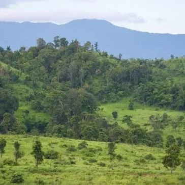 Thung Yai Naresuan Wildlife Sanctuary