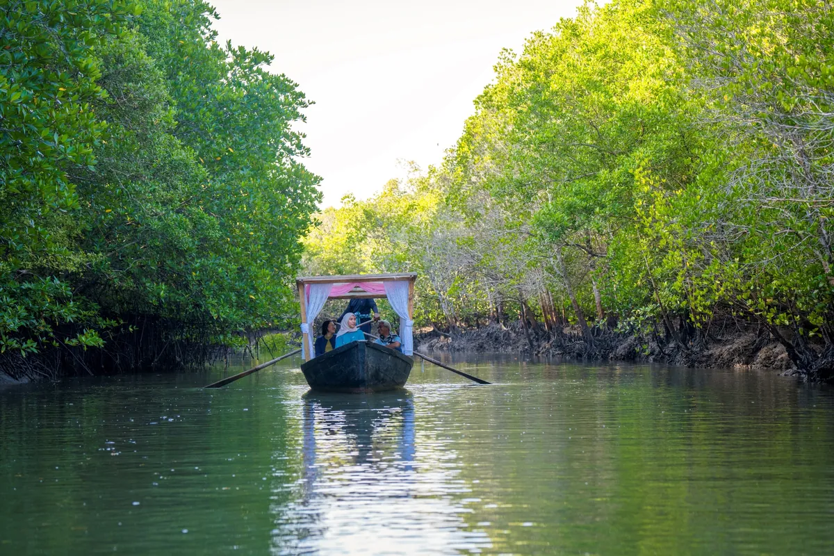 Thung Yee Peng Mangrove Forest — photo 5