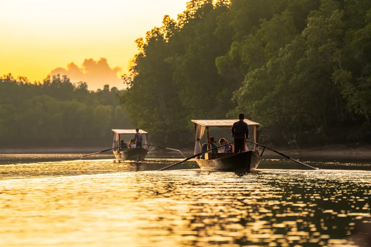 Thung Yee Peng Mangrove Forest — photo 2