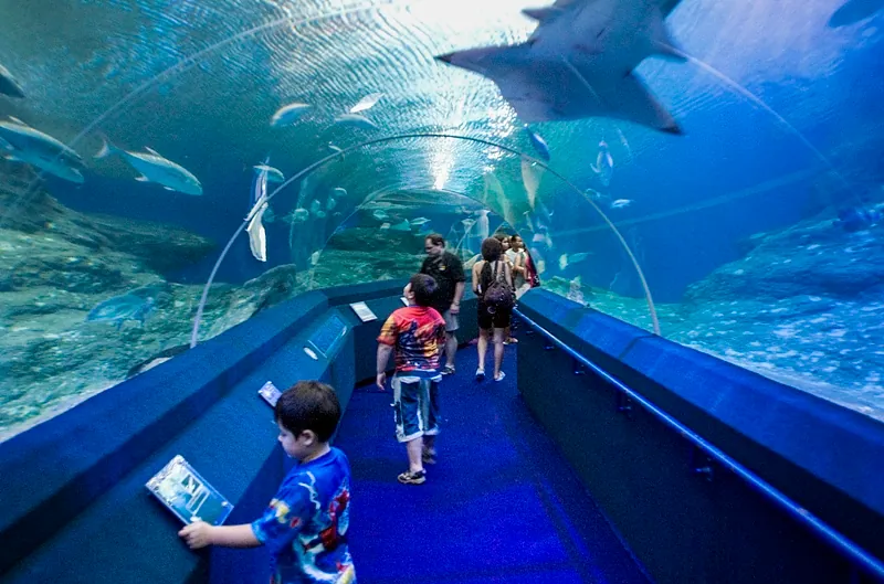 Underwater World Pattaya — photo 2