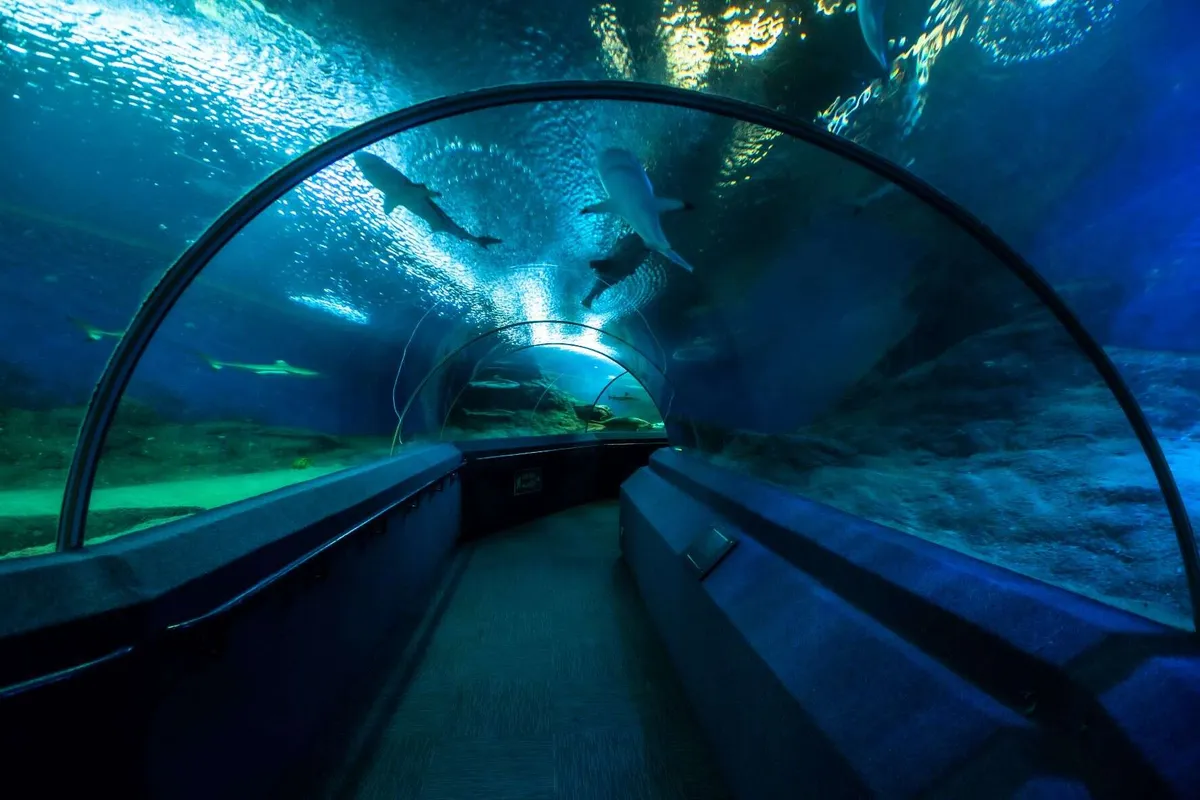 Underwater World Pattaya