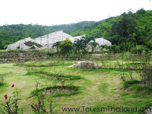 Usawadee Rose Garden