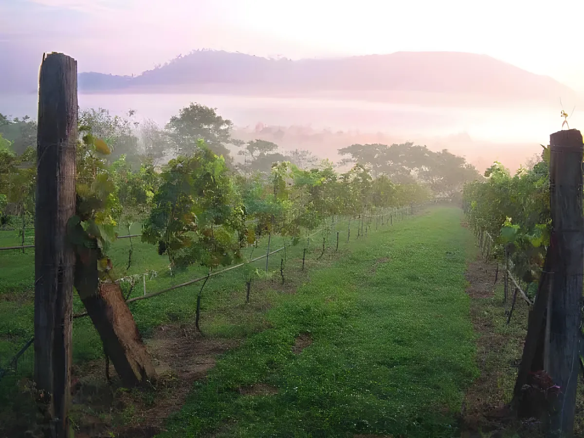 Village Farm and Winery