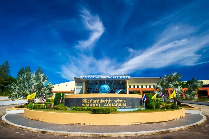 Wa Ko Aquatic Animal Museum