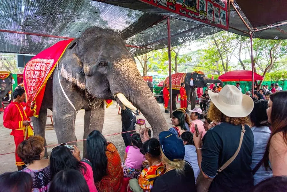 Wang Chang Ayutthaya Lae Phaniat