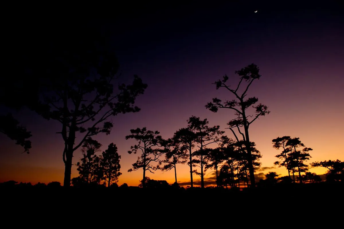 Wang Kwang Tourist Information Service Center