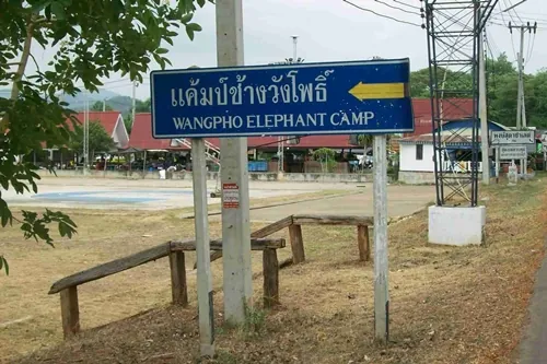 Wang Pho Elephant Camp — photo 2