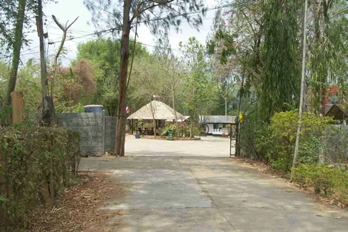 Wang Pho Elephant Camp — photo 3