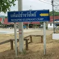 Wang Pho Elephant Camp