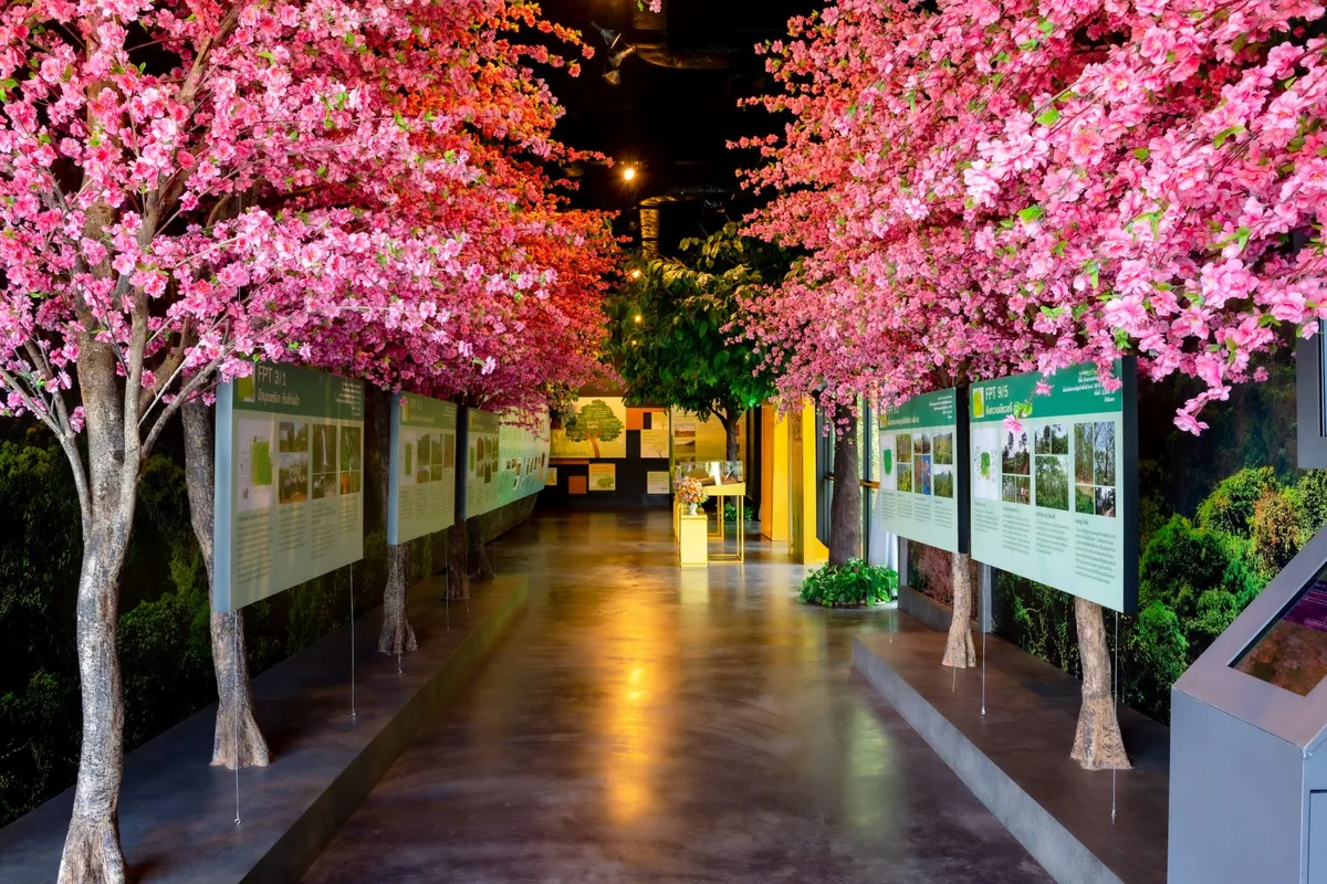 Wangchan Forest Learning Center — photo 2