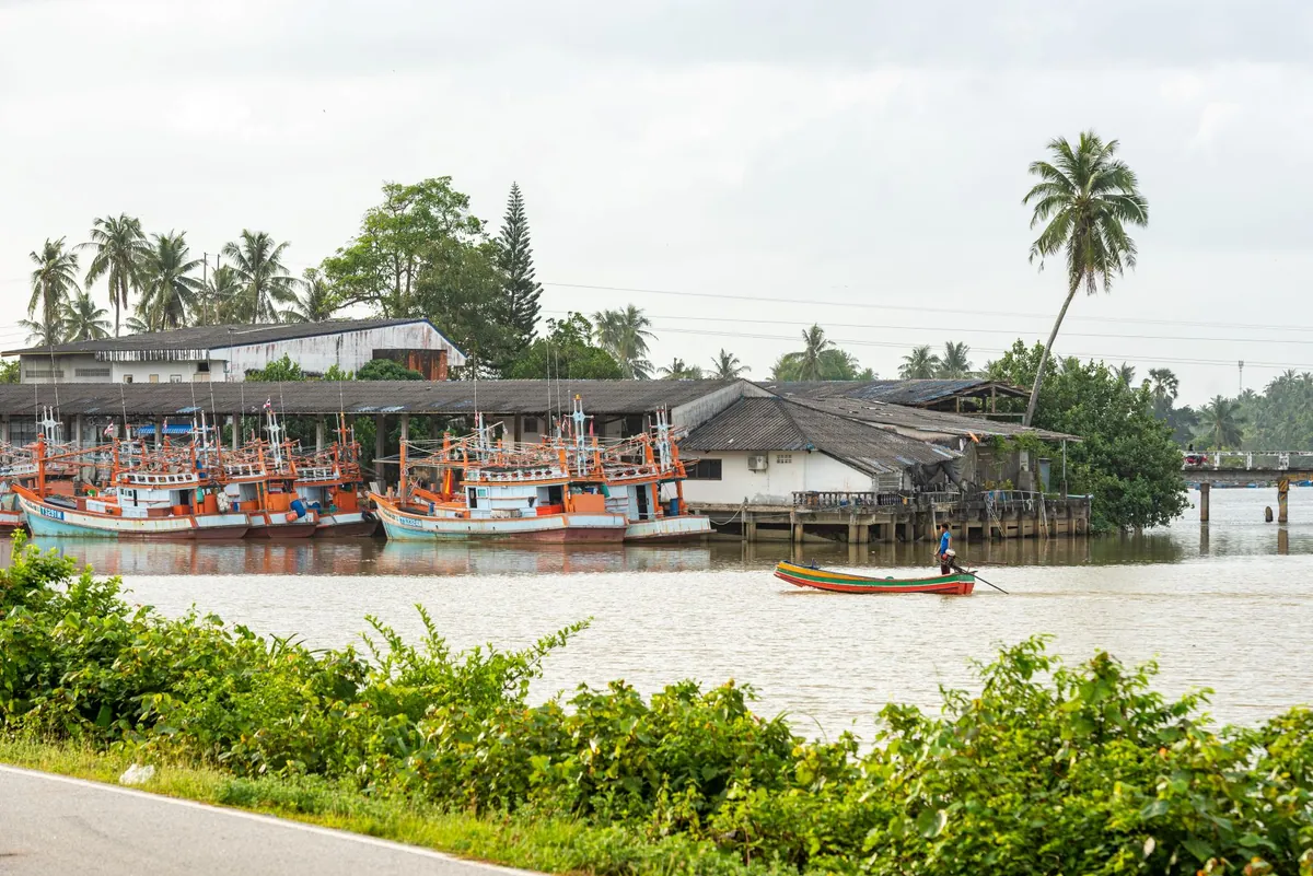 Wasukri Beach and Sai Buri Estuary — photo 2