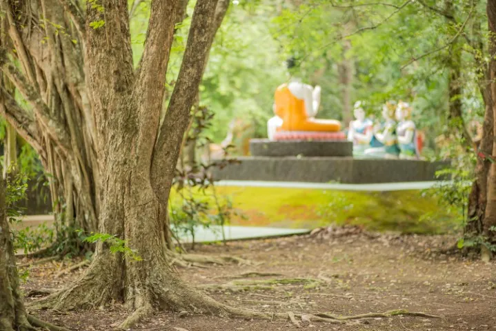 Wat Chak Yai Buddhist Park — photo 2