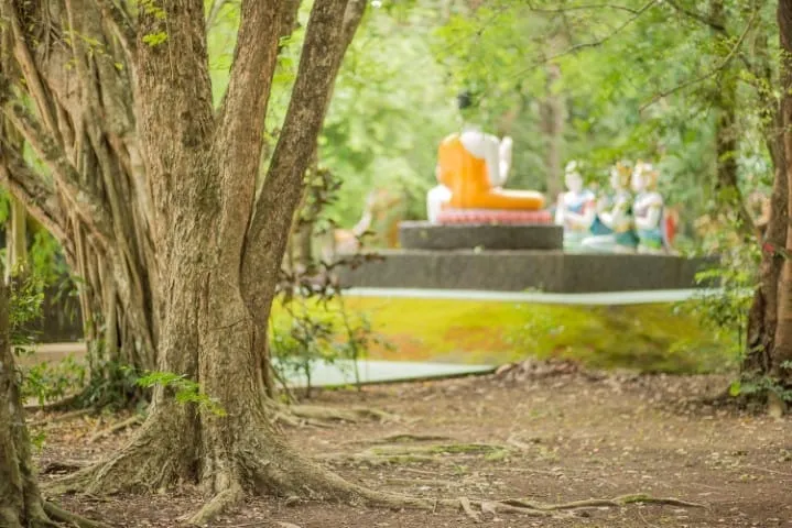 Wat Chak Yai Buddhist Park