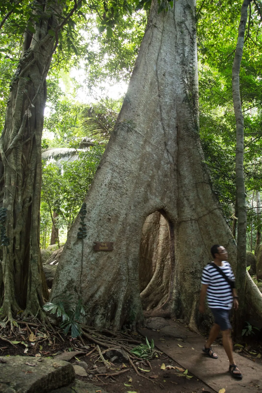 Wat Khao Banchop — photo 2