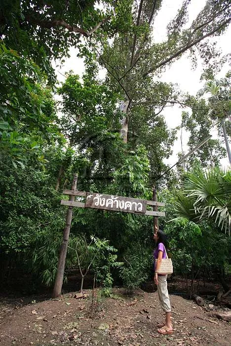 Wat Phrao — photo 3