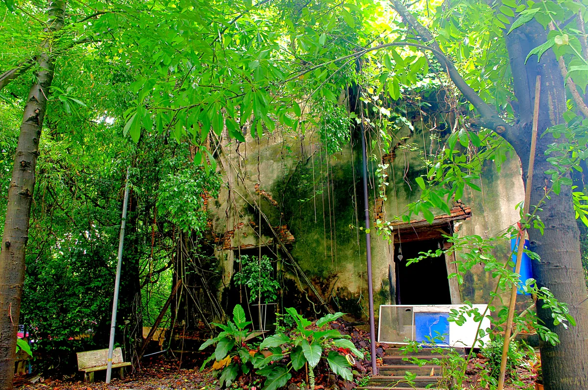 Wat Sak Noi
