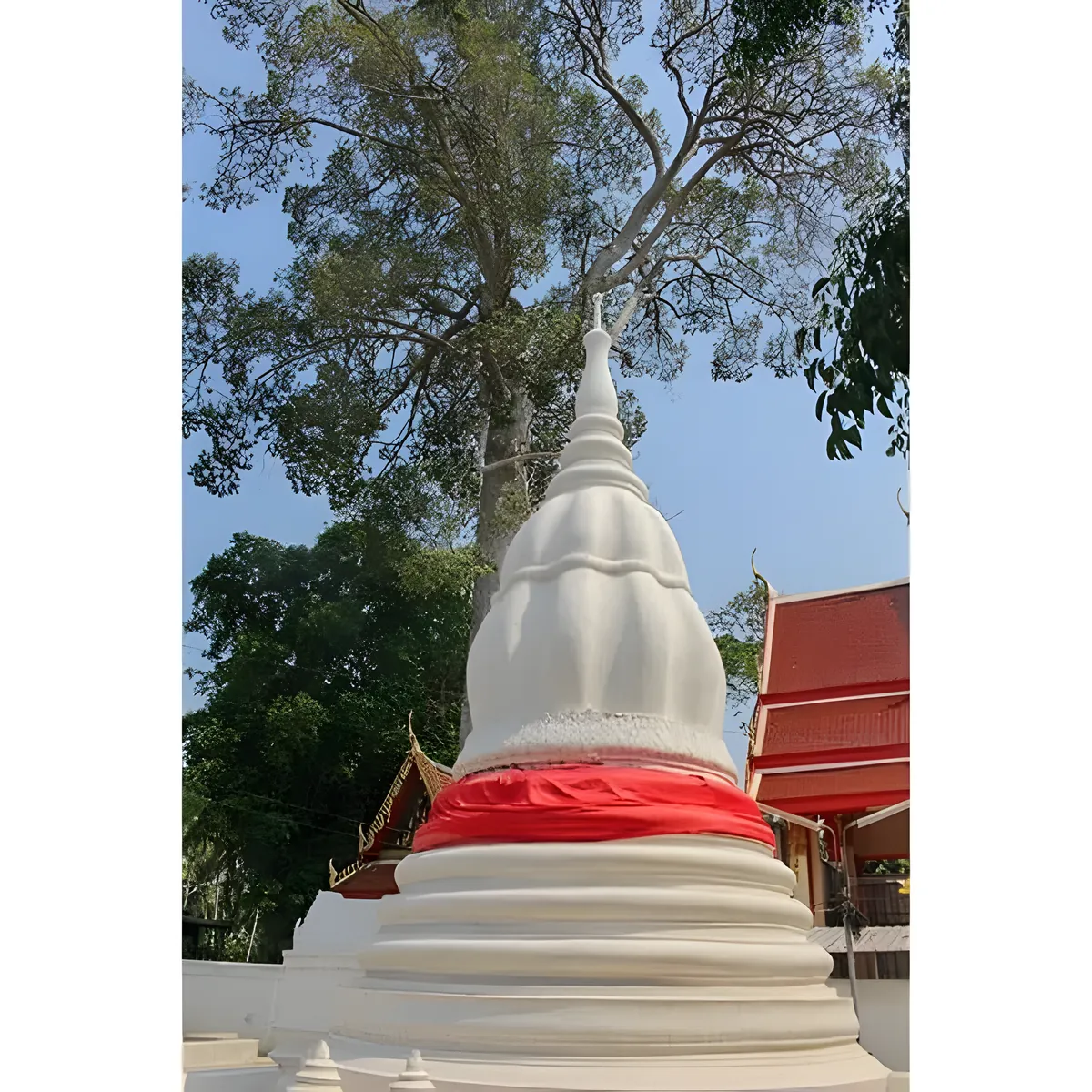 Wat Sao Thong Tong