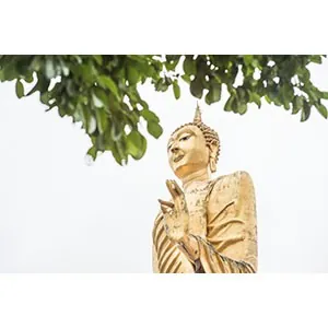 Wat Sri Don Chai — photo 2