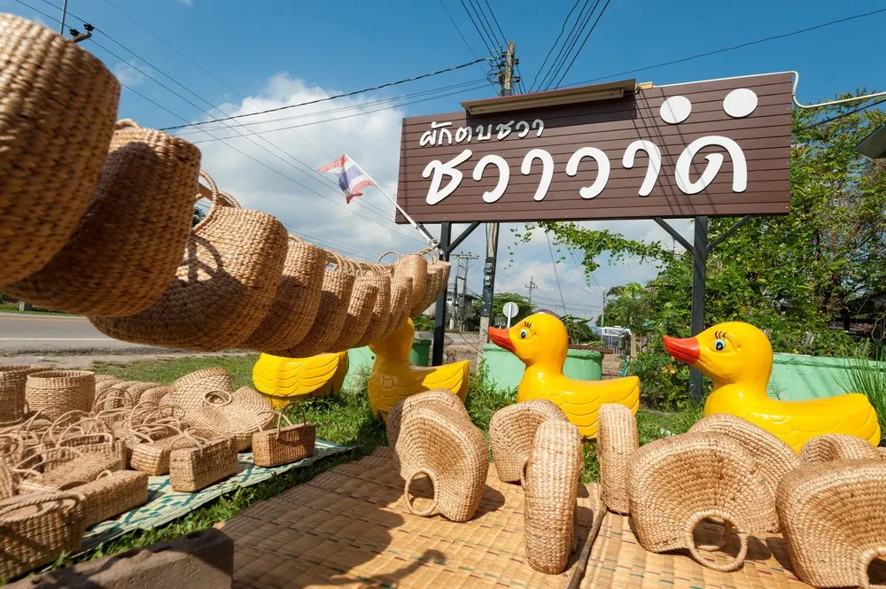 Water Hyacinth Village — photo 3