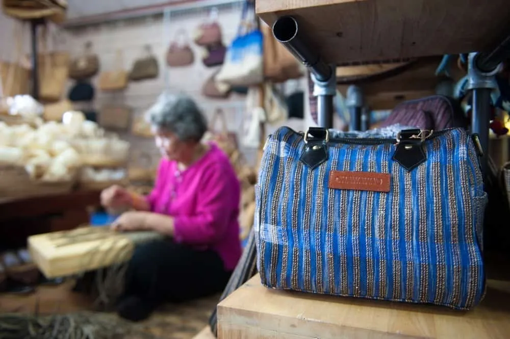 Water Hyacinth Village