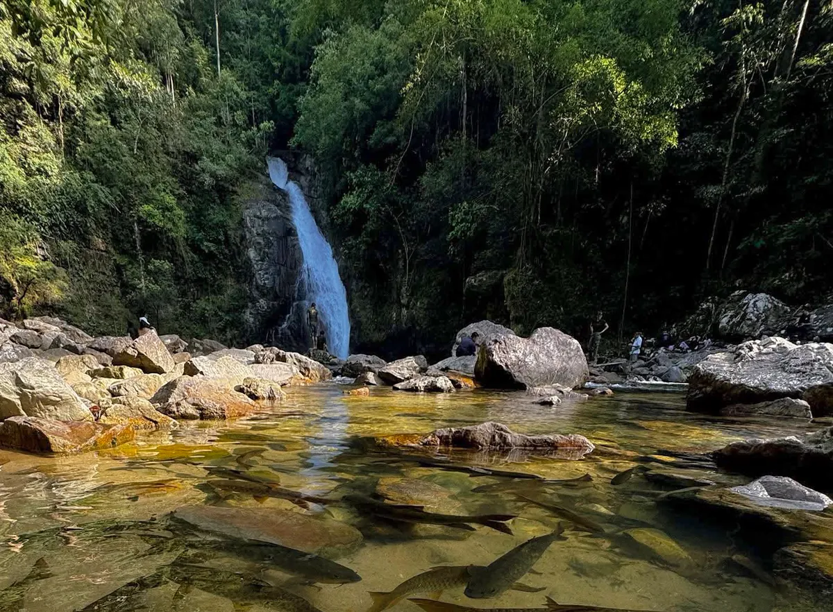Yong Waterfall National Park — photo 3