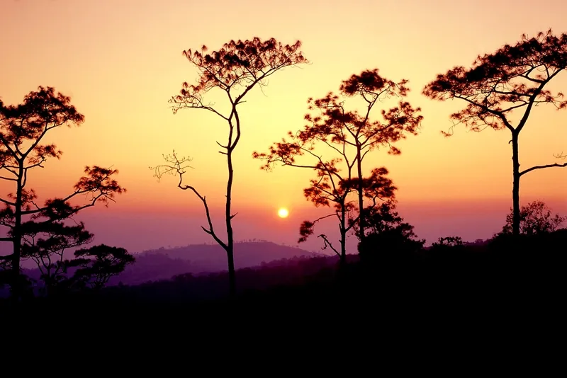 Yot Phu Ruea — photo 2