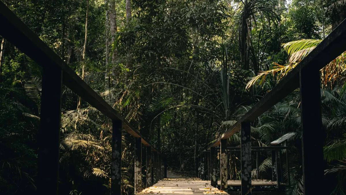 Best Hiking Trails in Thailand