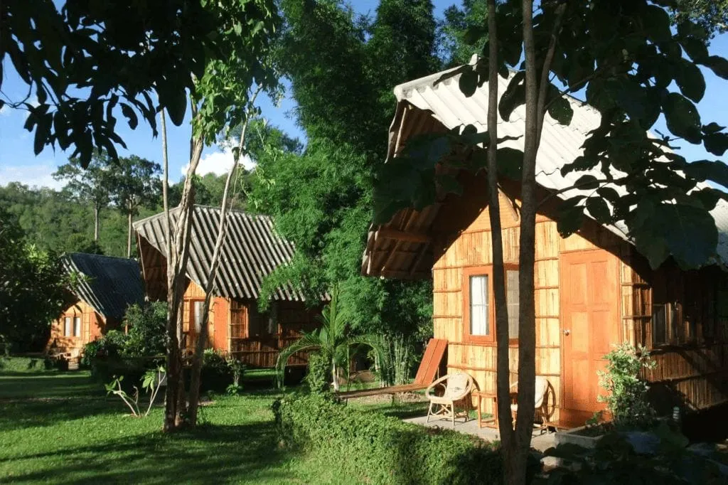 Chiang Dao Nest