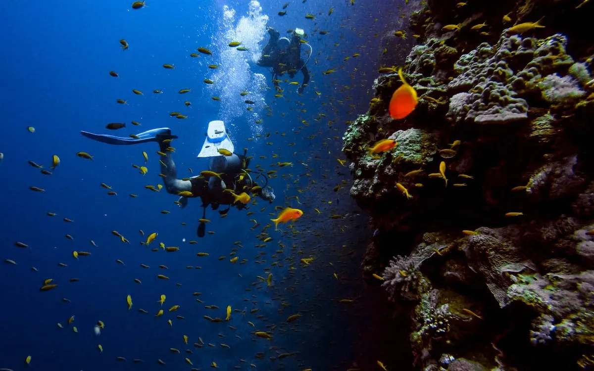 Explore the Wonders of Scuba Diving in Thailand!