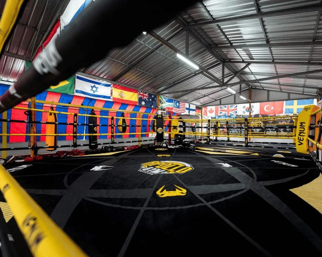Muay Thai and MMA Training Centers