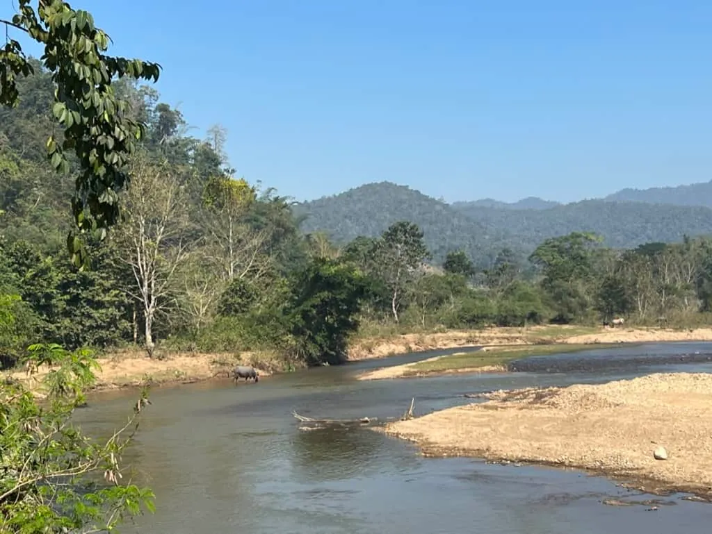 Visit Ban Mueang Khong