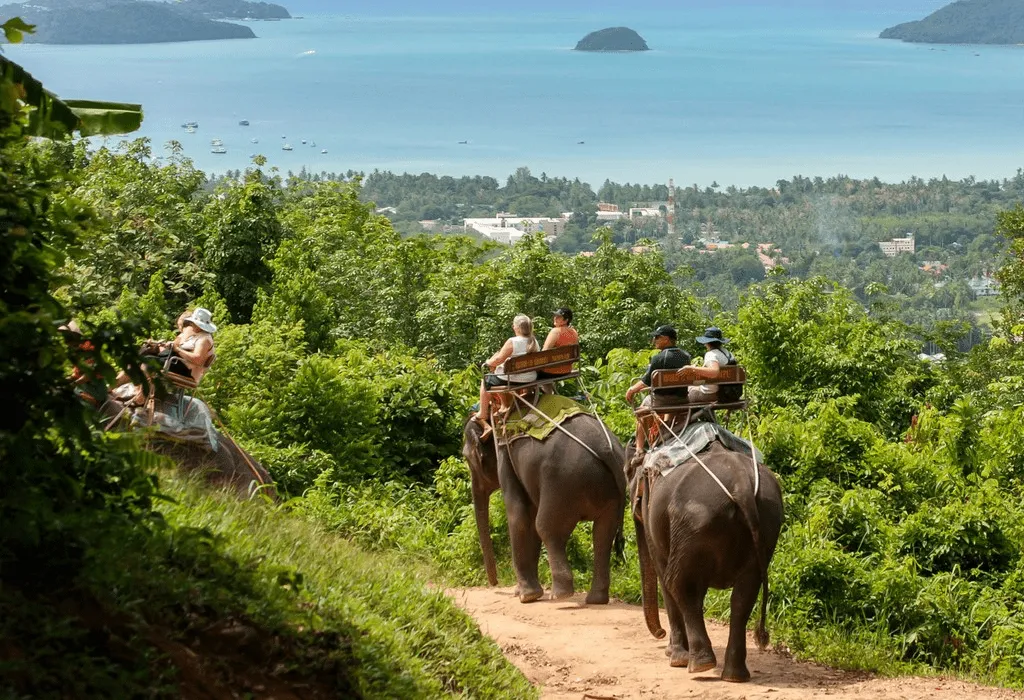 Things to Do in Phuket: Beaches, Islands, Culture & Activities