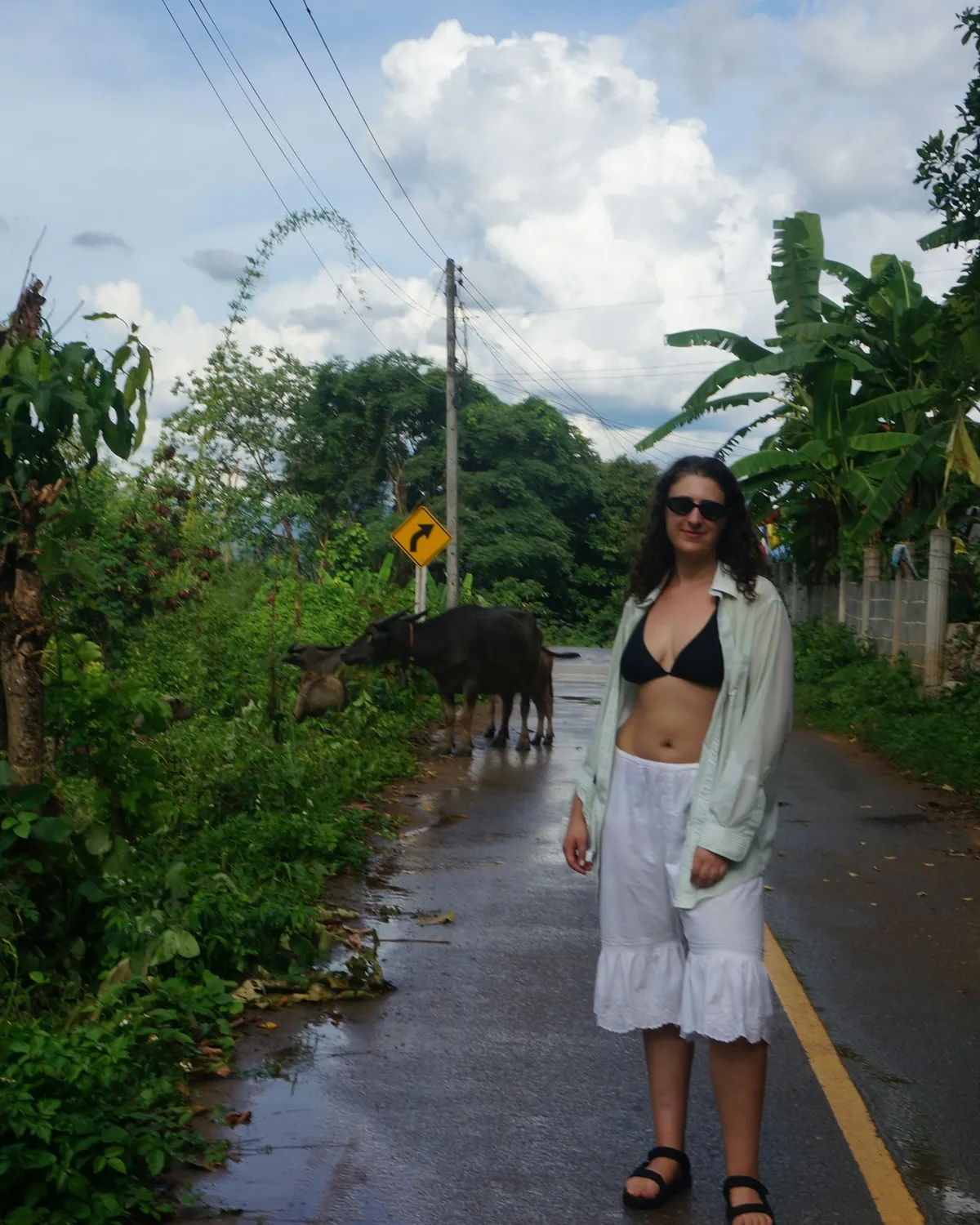 Chonburi Buffalo Racing Festival 2026: Thailand's Quirkiest Tradition