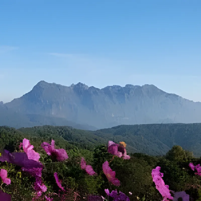Chiang Dao