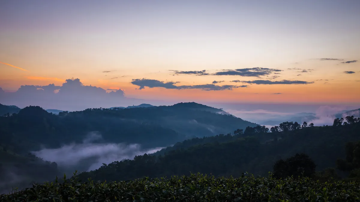 Doi Mae Salong