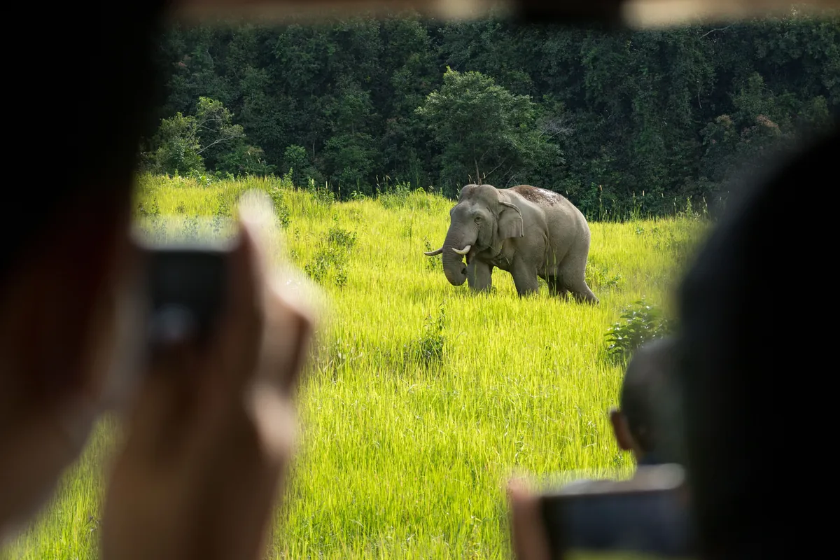 Khao Yai